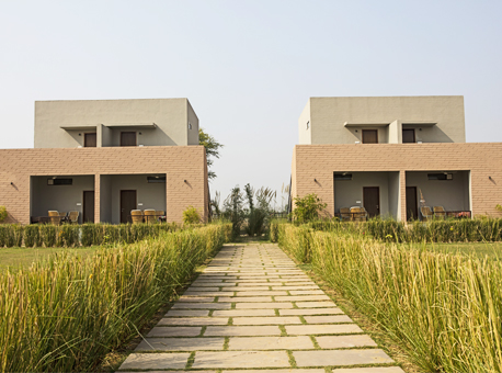 machli resort accommodation in ranthambore