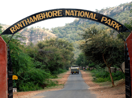 ranthambor national park gate